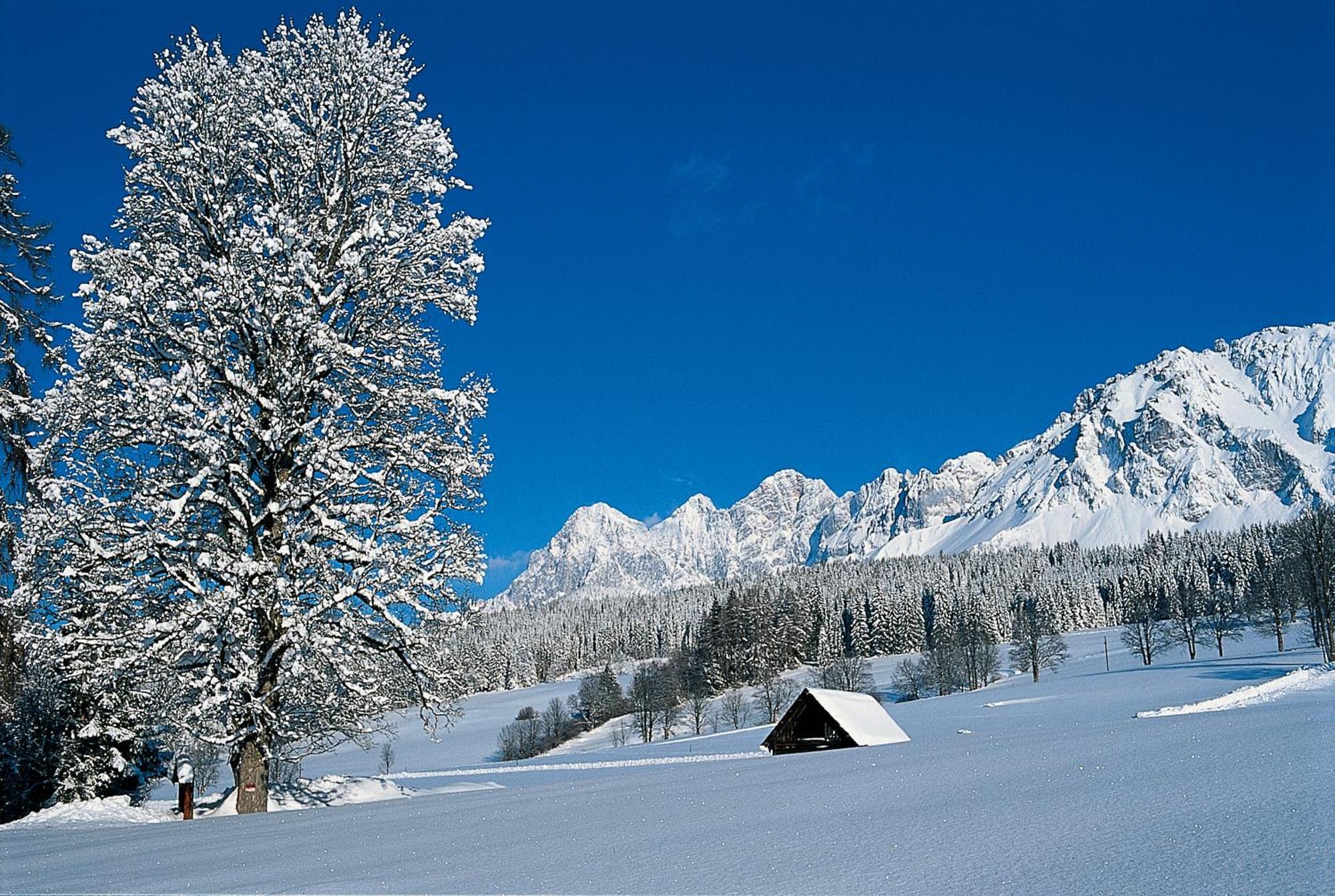 Hotel Matschner Ramsau am Dachstein Zewnętrze zdjęcie