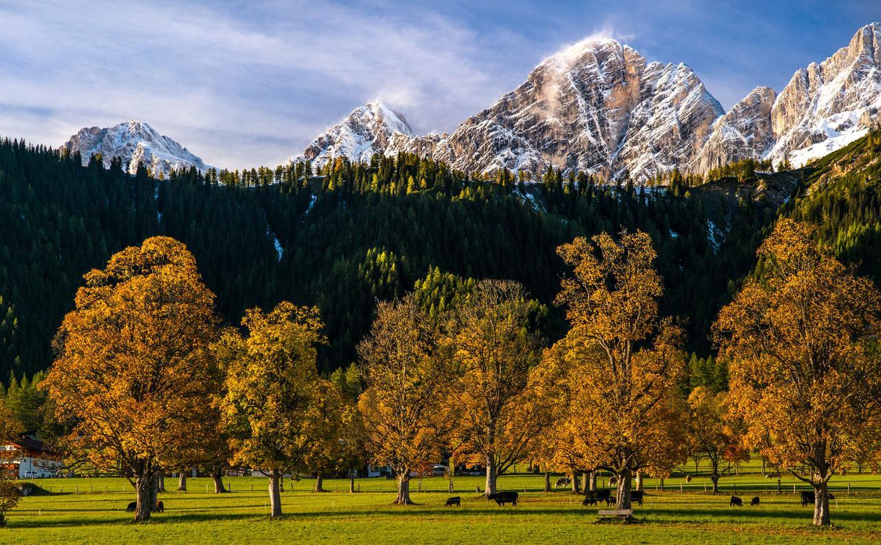 Hotel Matschner Ramsau am Dachstein Zewnętrze zdjęcie